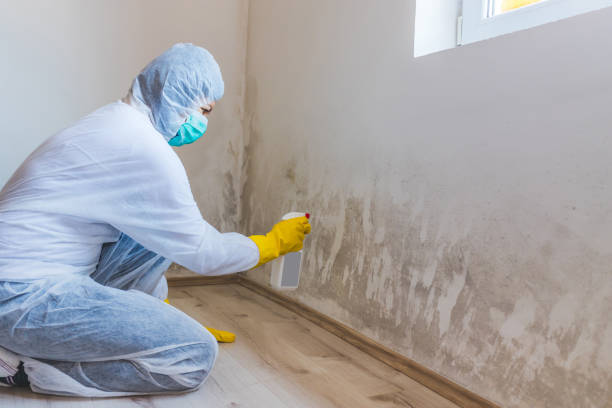 Mold Remediation for Historic Buildings