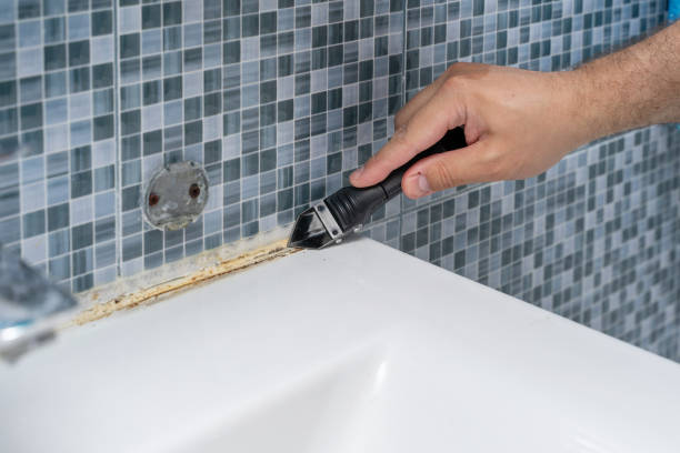 Professional Mold Remediation in Clayton, MO